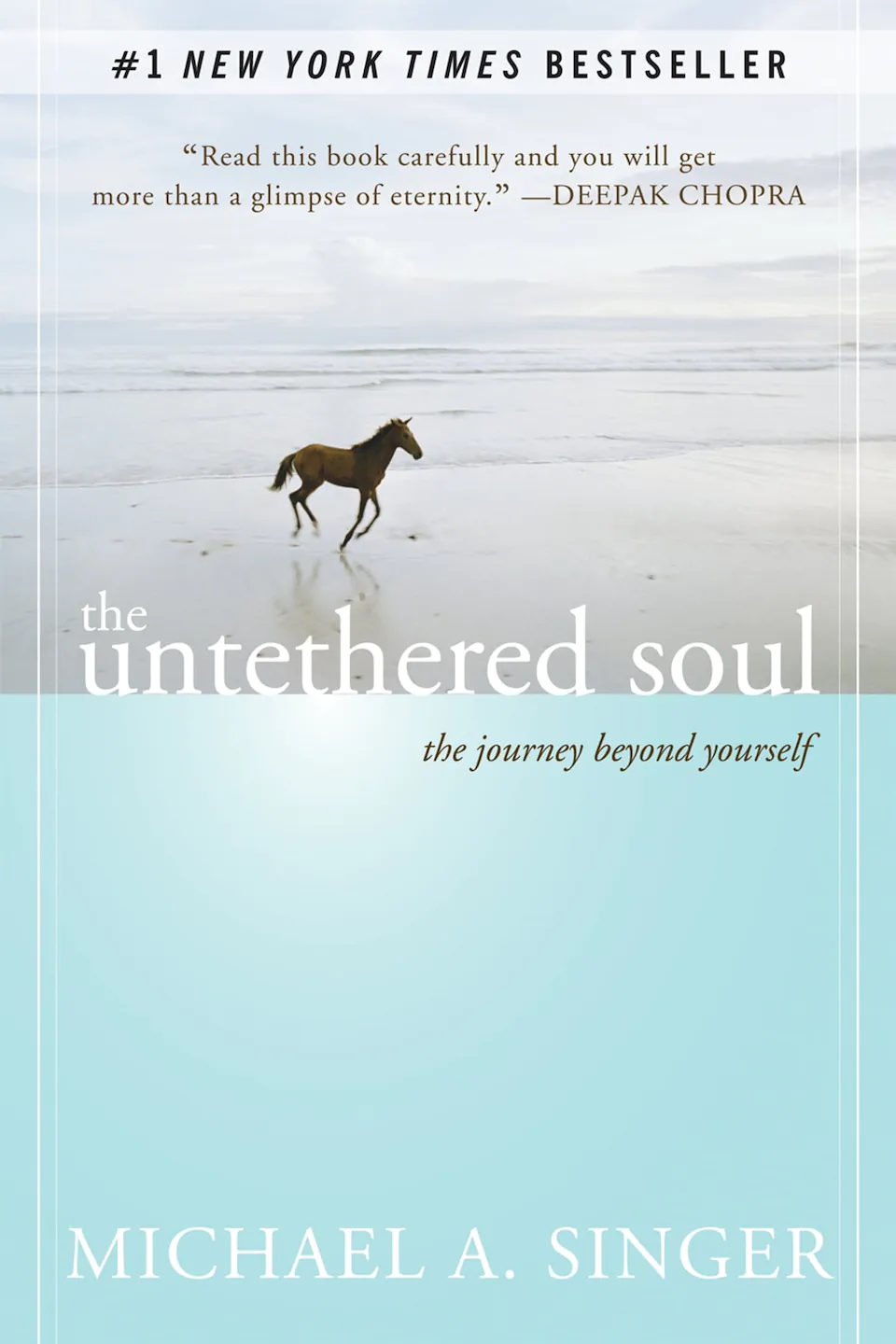 The Untethered Soul: The Journey Beyond Yourself by Michael A. Singer finished on 2023 Apr 06
